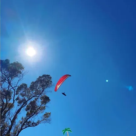 Le Palme Vacanze Trappeto (Sicily)